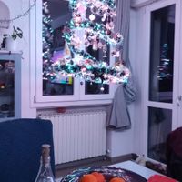 4️⃣ Avete già fatto l'albero? - 1