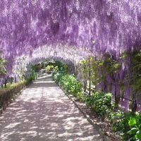 Vestito anteprima matrimonio - 2