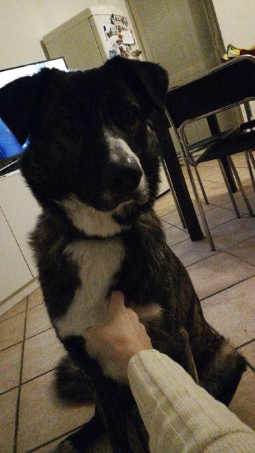 Ospite speciale... 1