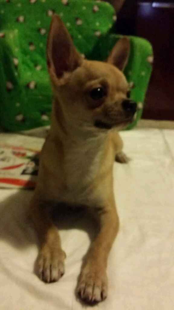 ...e a meno 67 giorni arriva lui.... - 1