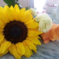 Girasoli a settembre - 1