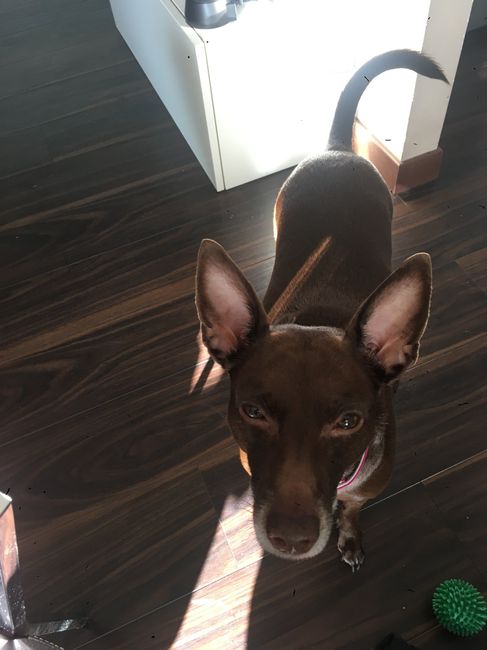 Pavimento si! Pavimento no.... 🤦‍♀️ - 1