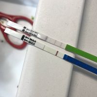 Canadese gravidanza: ghost Line o positivo??? - 1