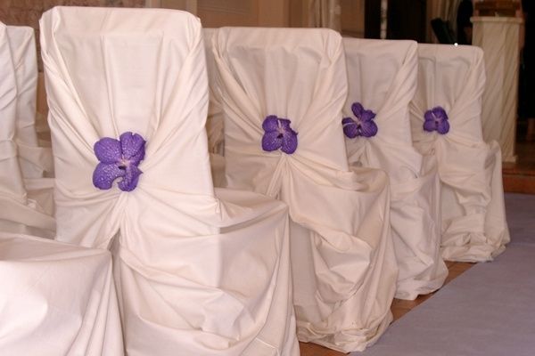 Allestimento sedie con viola