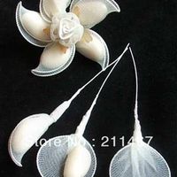 Bomboniere di bulbi - 1