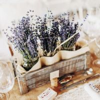 🎁Tema di nozze: ci hai già pensato? ✅❌ - 1