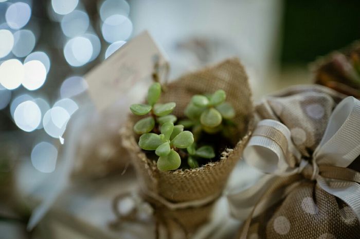 Bomboniere matrimonio 1