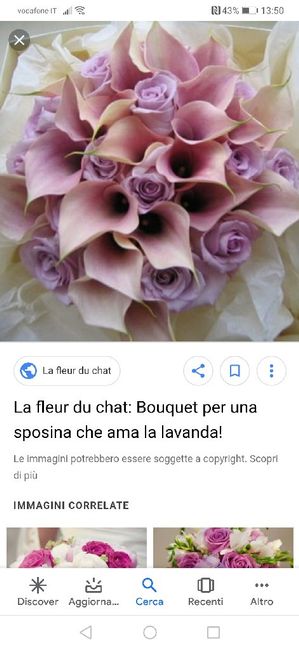 Scelta fiori. - 1