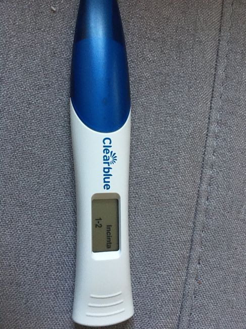 Chi non le aspetta per gennaio 2020 - 1