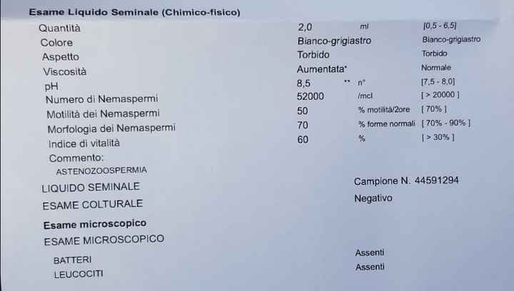 Esiti spermiogramma - 1