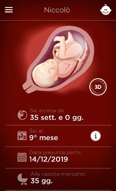 Future mamme "dicembrine" 2019 💙💗 - 1