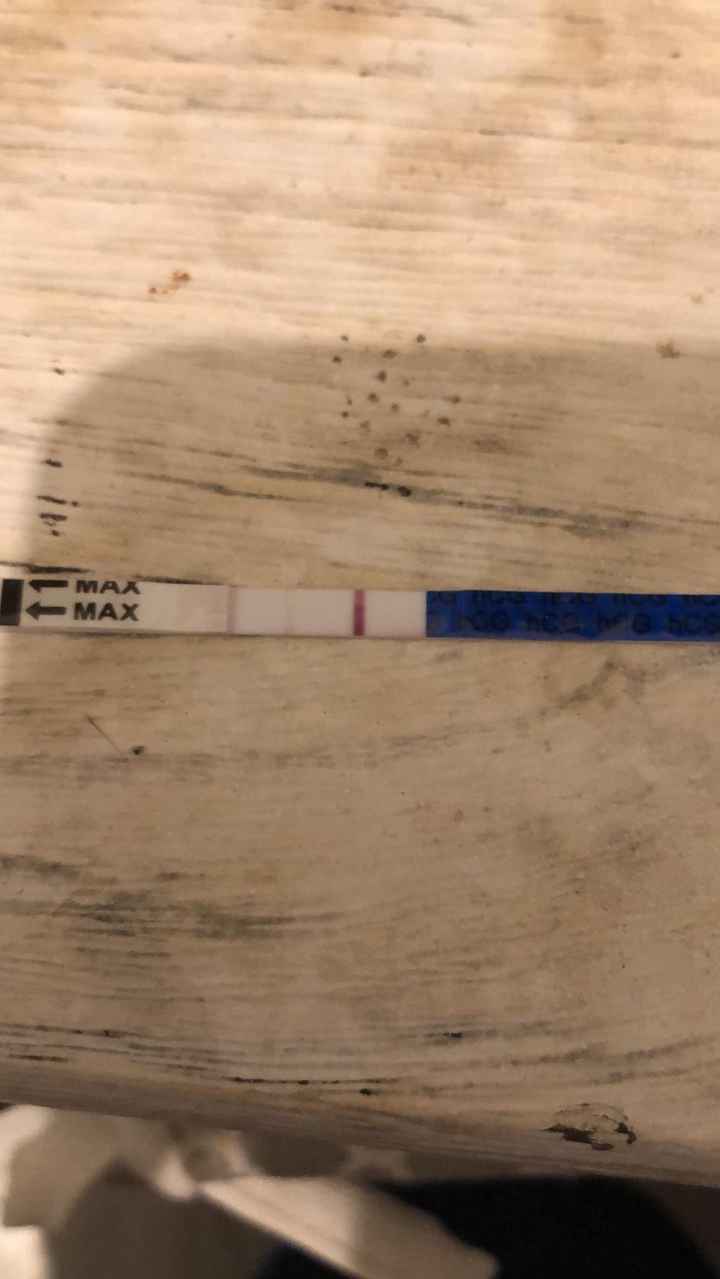 La vedete anche voi?