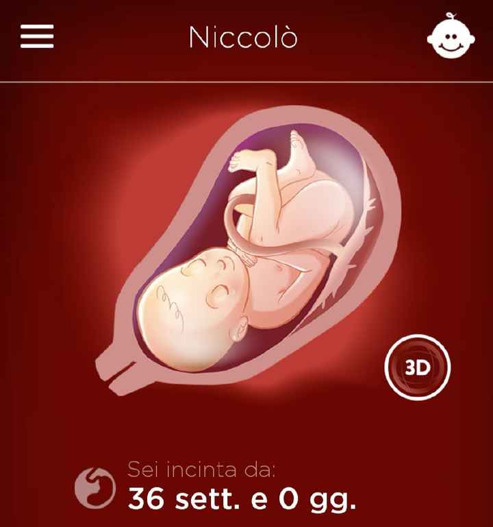 Future mamme "dicembrine" 2019 💙💗 - 1