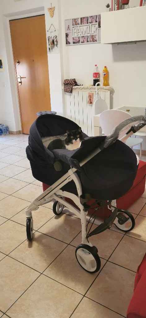 Future mamme "dicembrine" 2019 💙💗 - 1