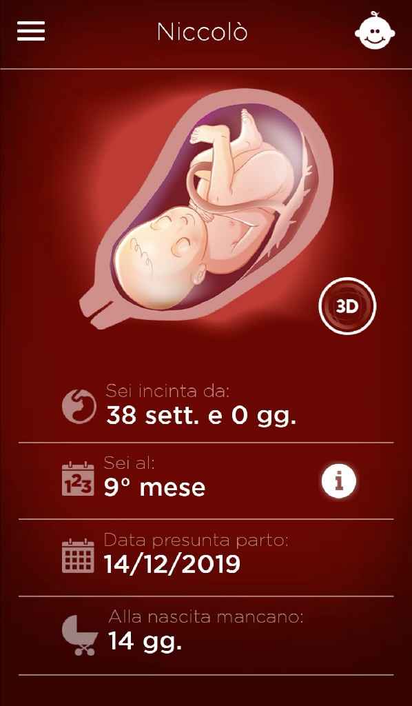 Future mamme "dicembrine" 2019 💙💗 - 2