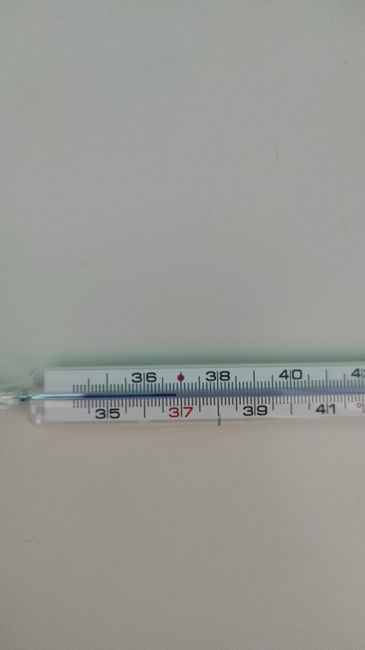 Temperatura corporea 2