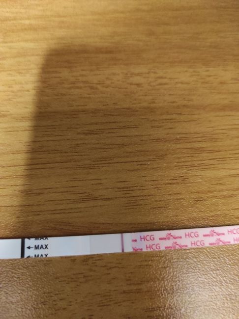 8 po  test canadese gravidanza 3