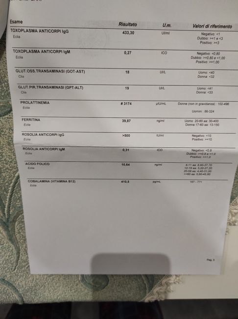 Prolattina altissima 1