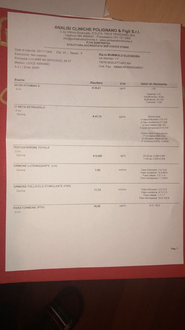 Prolattina altissima 1