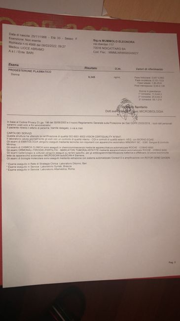 Prolattina altissima 2