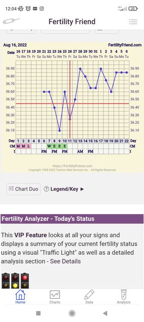 Calo di impianto? - 1