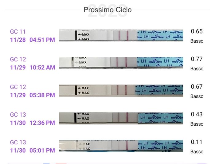 Chi non le aspetta per Dicembre 2023 😬🎁🎄❄️ 2