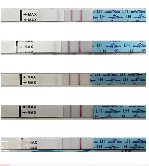 Chi non le aspetta per Dicembre 2023 😬🎁🎄❄️ 2