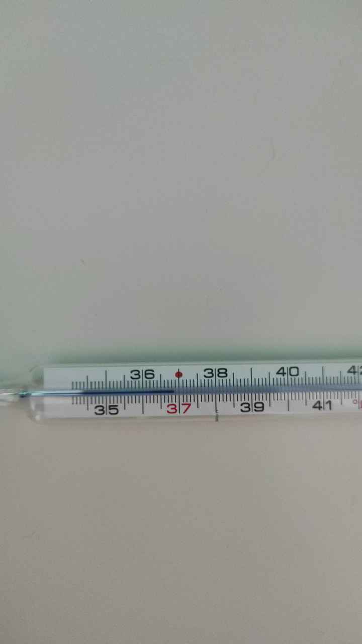 Temperatura corporea - 1