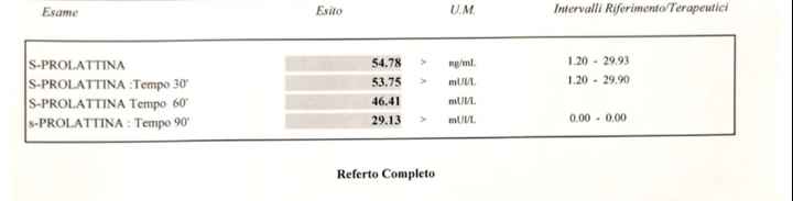 Prolattina altissima - 1