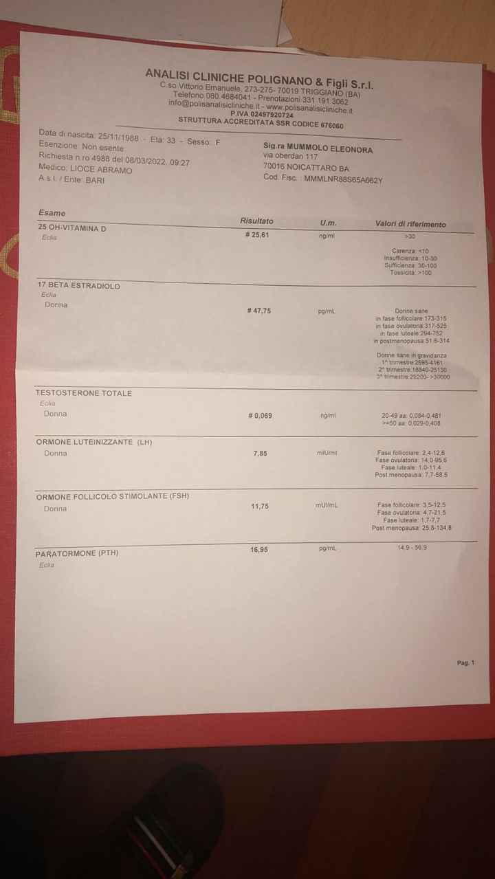 Prolattina altissima - 1