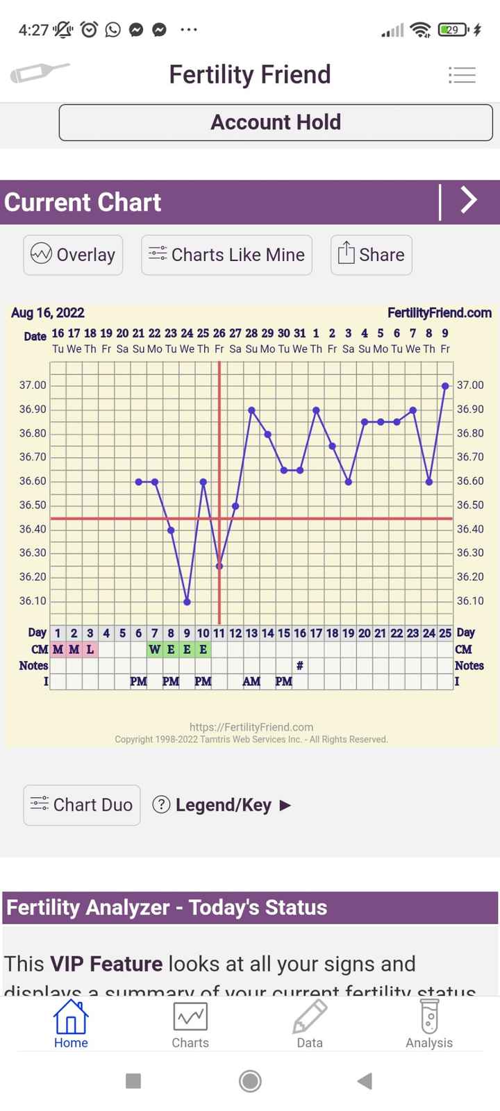 Calo di impianto? - 1