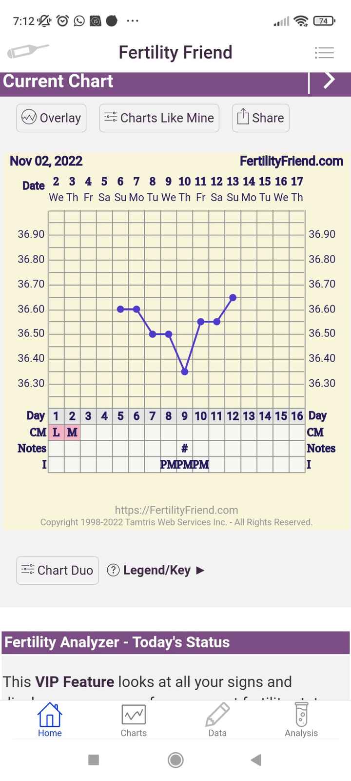 Ovulazione si o no? - 1