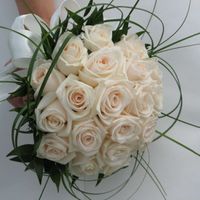 il rosa