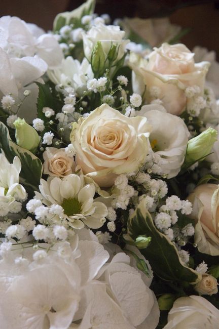 Fiori per Luglio? - 1