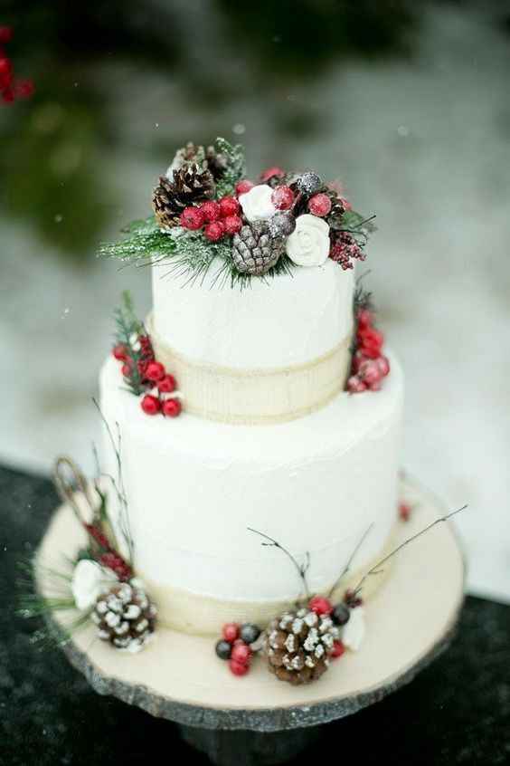 Winter wedding - 5