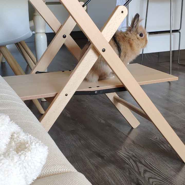 i nostri amici animali - 2