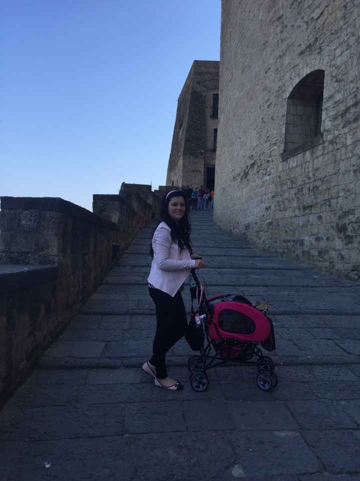 Le fedi le porta il mio cane! - 1