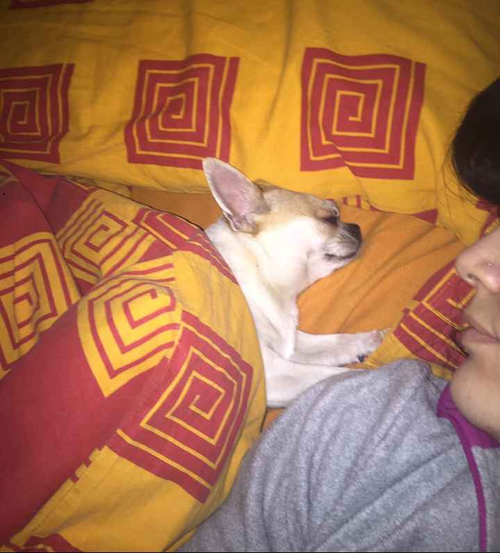 Il regalo più prezioso - 1