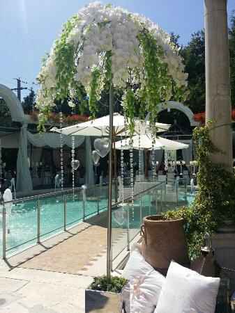 Spose villa regina ci siete ? - 7