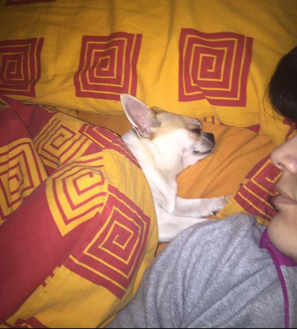 Il regalo più prezioso - 1