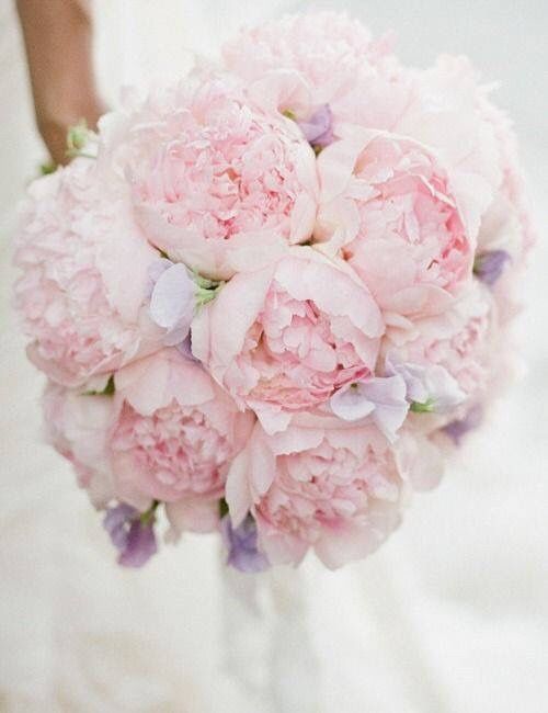 Il bouquet perfetto *.* - 1