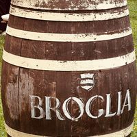 25 anniversario matrimonio - 6