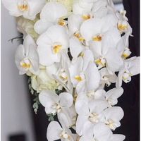 Un bouquet di orchidee fantastico 