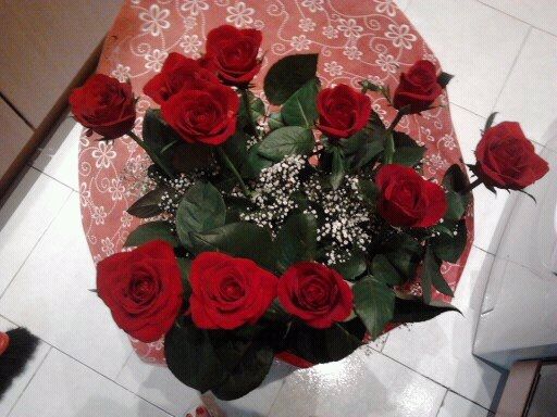 rose rosse