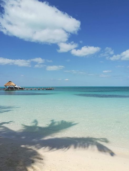 Messico si o no? - 1