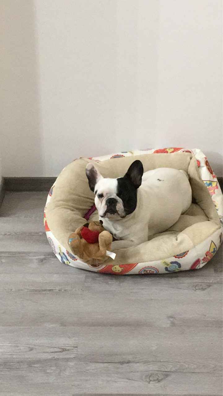 Collaboratori pelosi ❤️ - 1