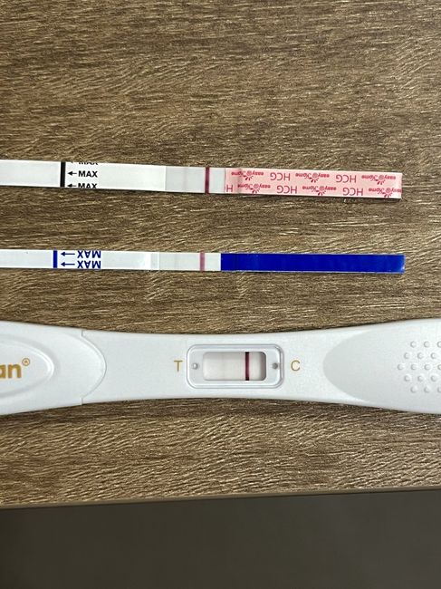 Per chi non le aspetta Luglio, Agosto Settembre e Ottobre 2024🍀🐞 - 1