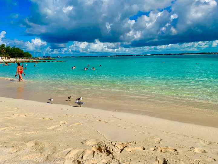Miami e Bahamas, consigli??? - 1