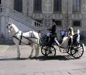 carrozza sposi