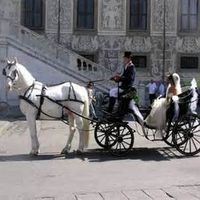 carrozza sposi